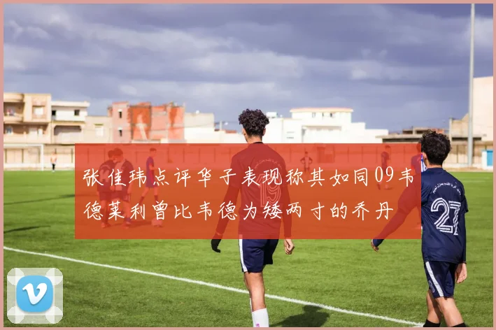 张佳玮点评华子表现称其如同09韦德莱利曾比韦德为矮两寸的乔丹