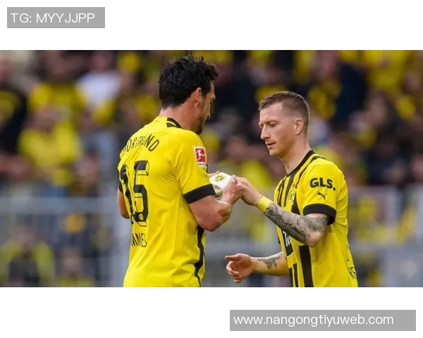 罗伊斯力挺布兰特留队多特未来合作前景可期