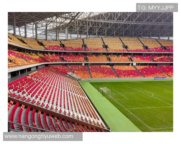 重庆铜梁龙明年主场将落户龙兴足球场正式确定