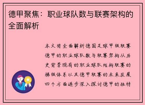 德甲聚焦：职业球队数与联赛架构的全面解析